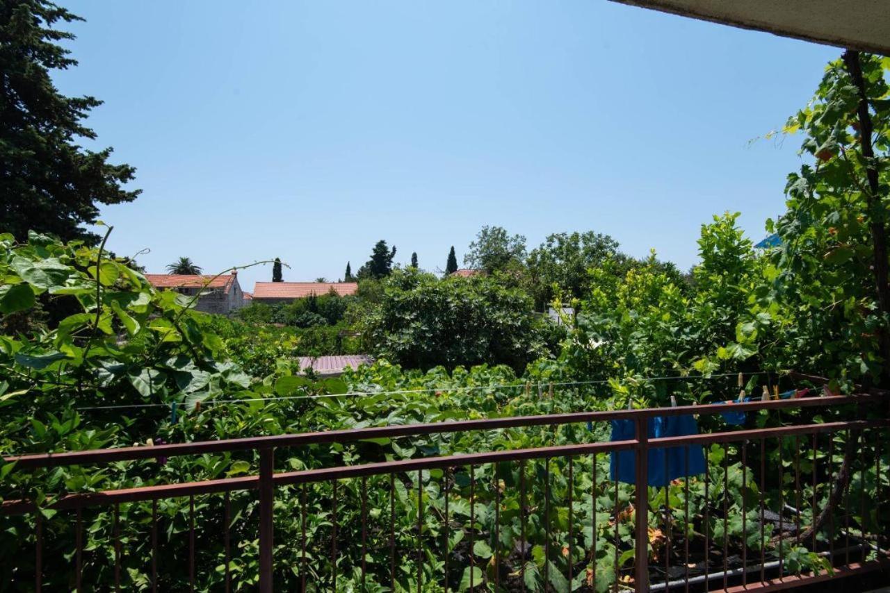 Apartments Ljiljana Оребич Экстерьер фото